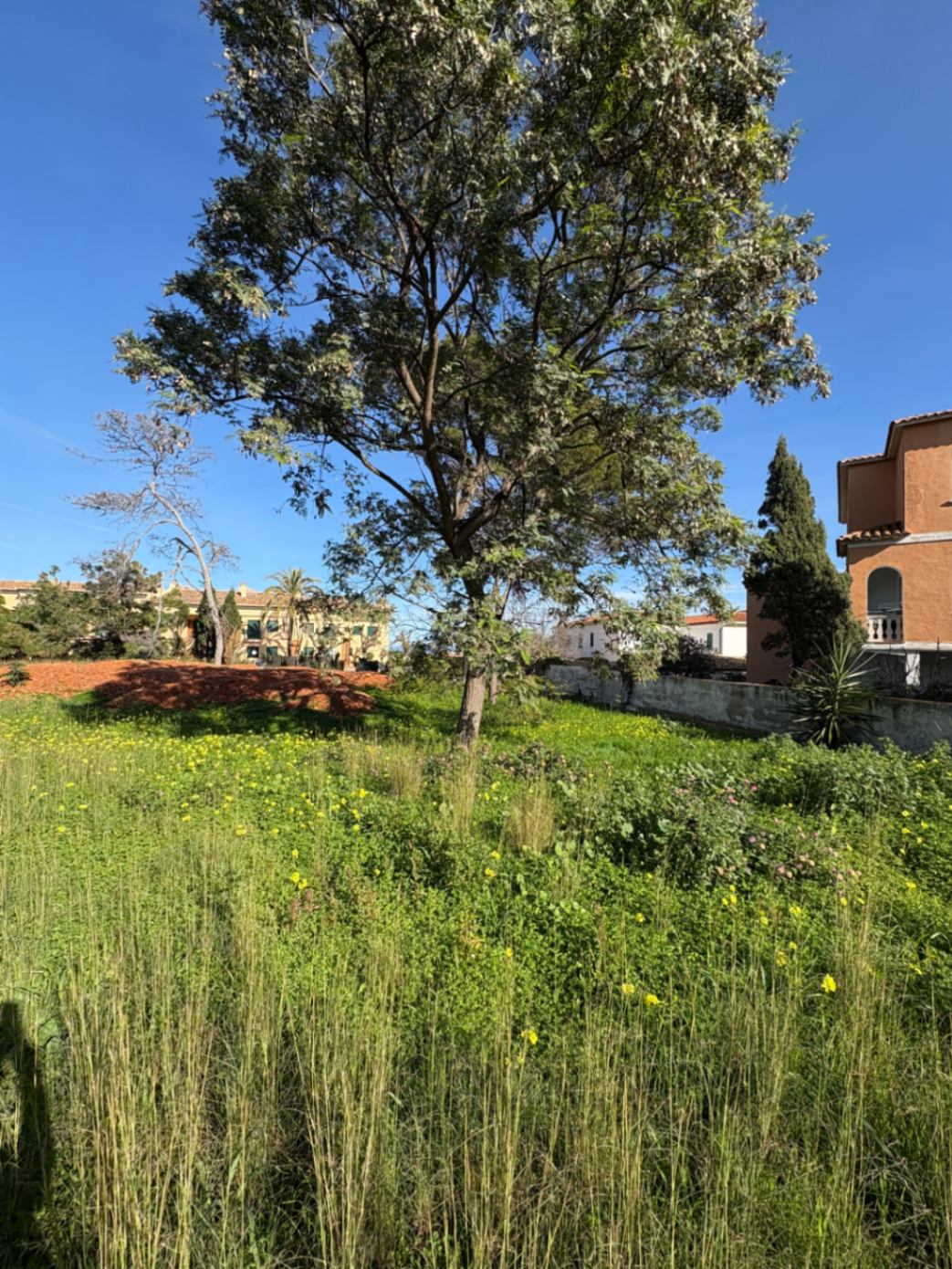 Dénia Centro Urbano
